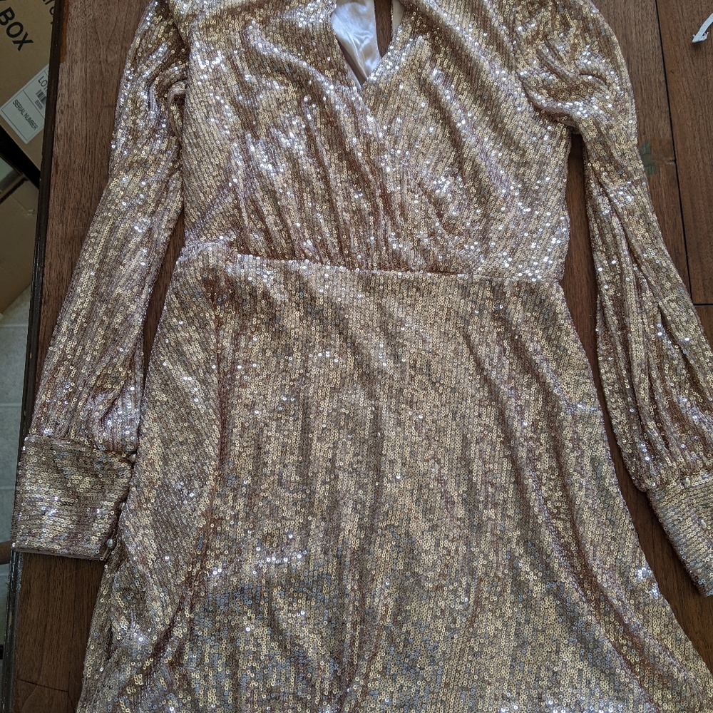 Rose gold sequin dress